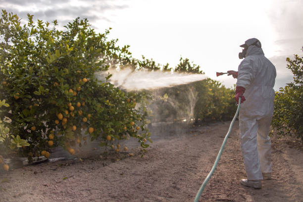 Best Commercial Pest Control Services  in Fruitland Park, FL