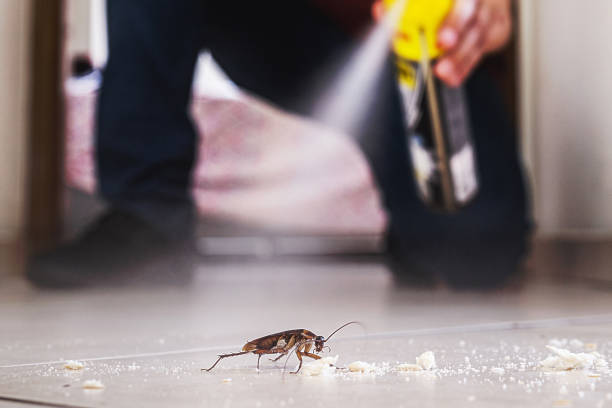 Fruitland Park, FL Pest Control Company